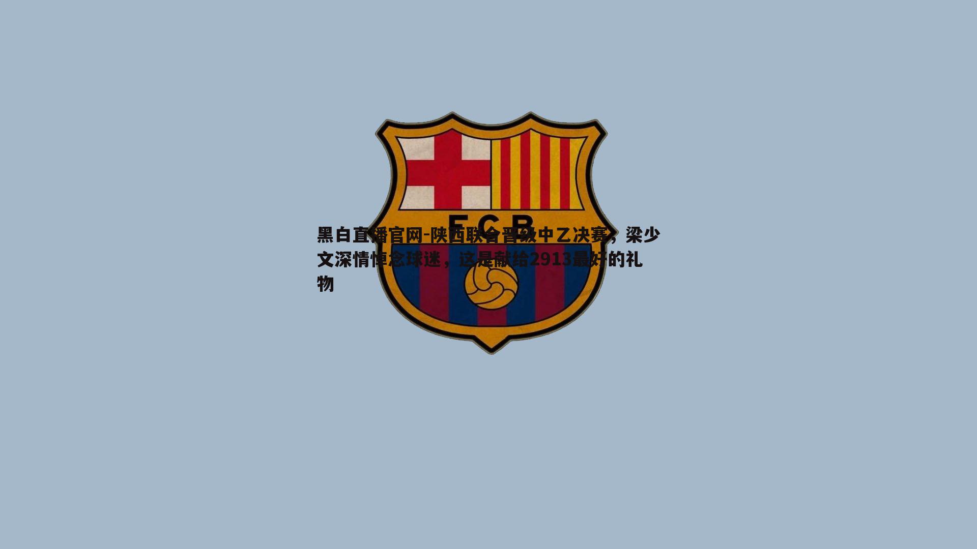 陕西联合晋级中乙决赛，梁少文深情悼念球迷，这是献给2913最好的礼物
